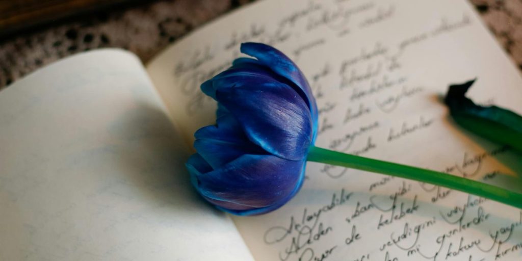 This article explains the clear difference between a book and a novel: a book is the physical or digital container of written content, while a novel is a specif...