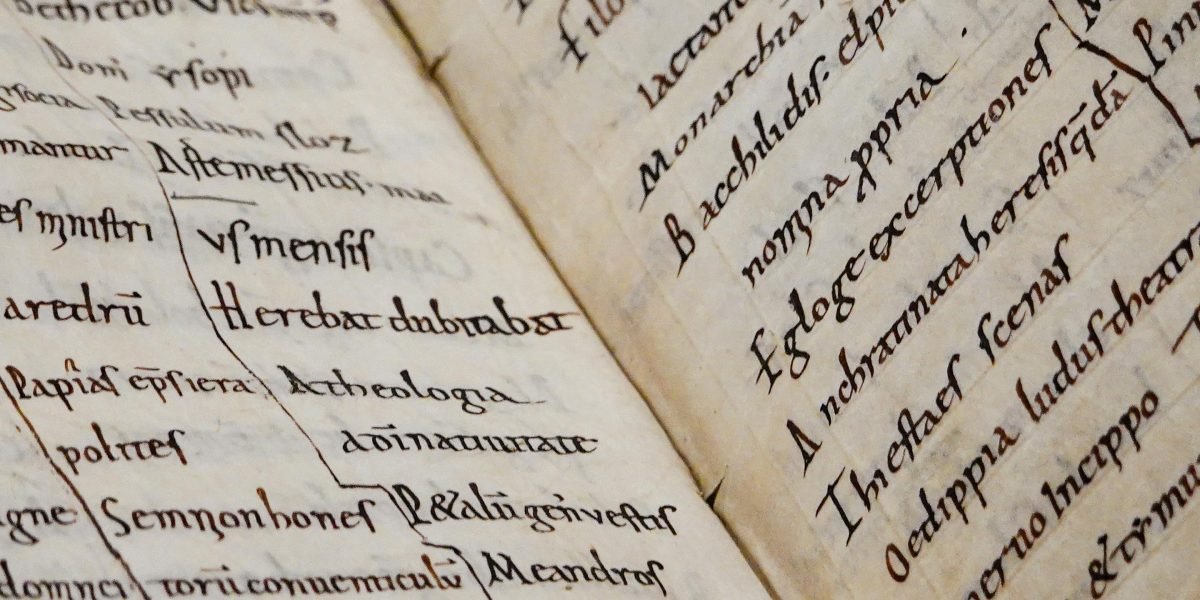A person engrossed in reading an ancient or historical text, reflecting on the long history of books.